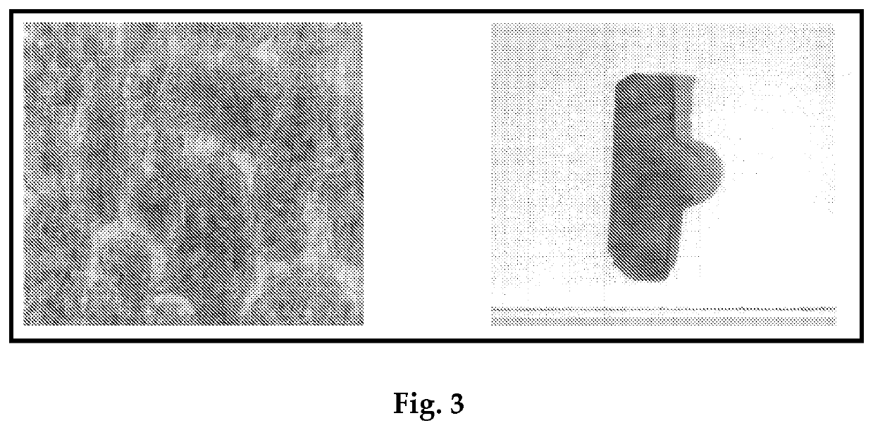 A process of manufacturing of segments for carbon thrust bearing