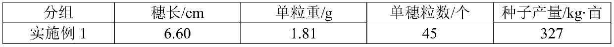 Planting method with function of relieving lodging of highland barley