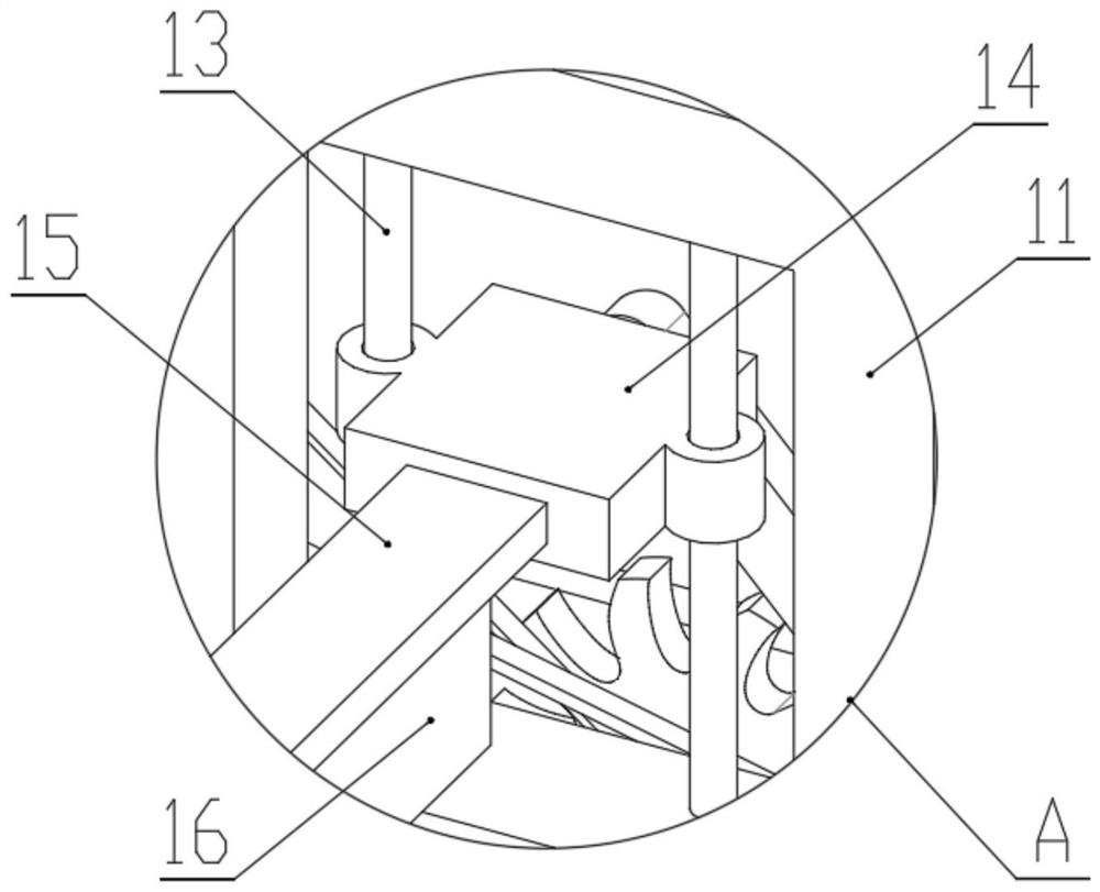 Multifunctional automatic equipment for vegetable processing