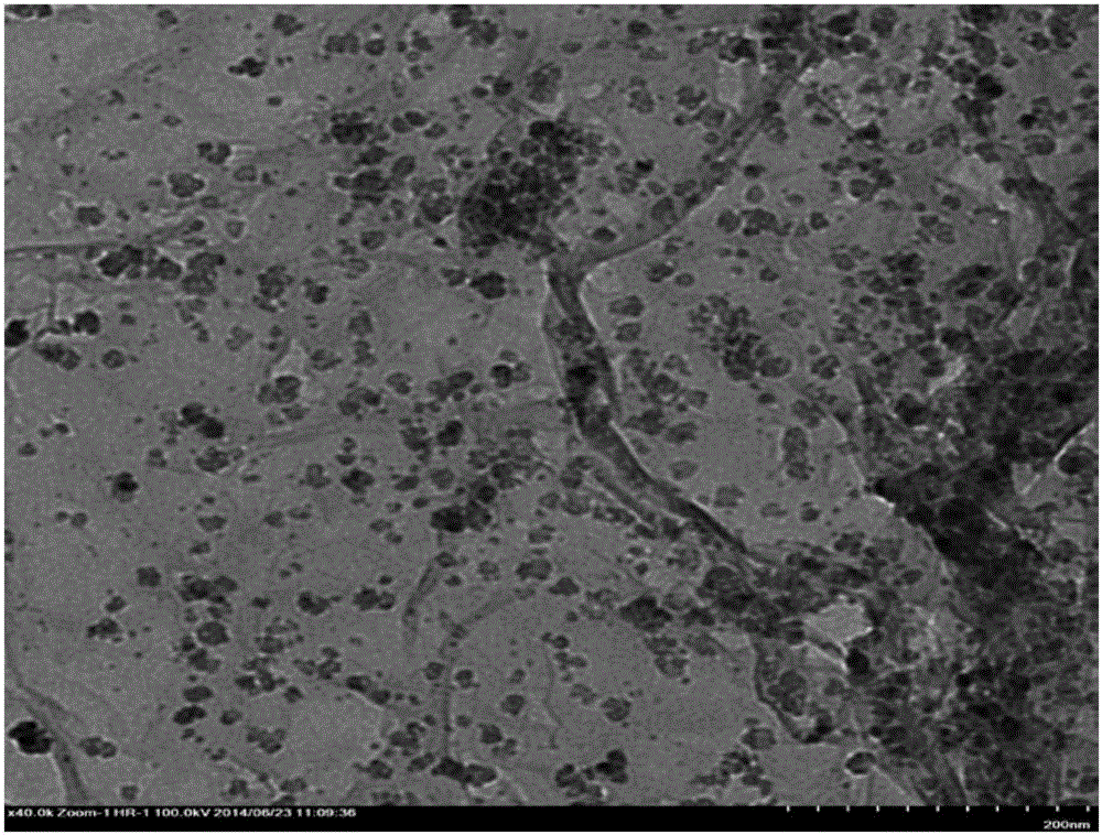 Graphene/nano ferrite based water electromagnetic shielding paint and preparation method thereof