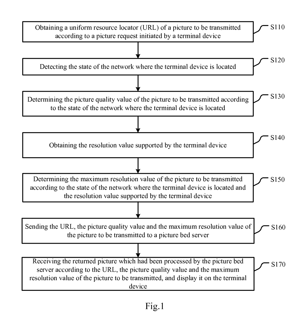 Terminal device, system for providing picture and method for transmitting picture