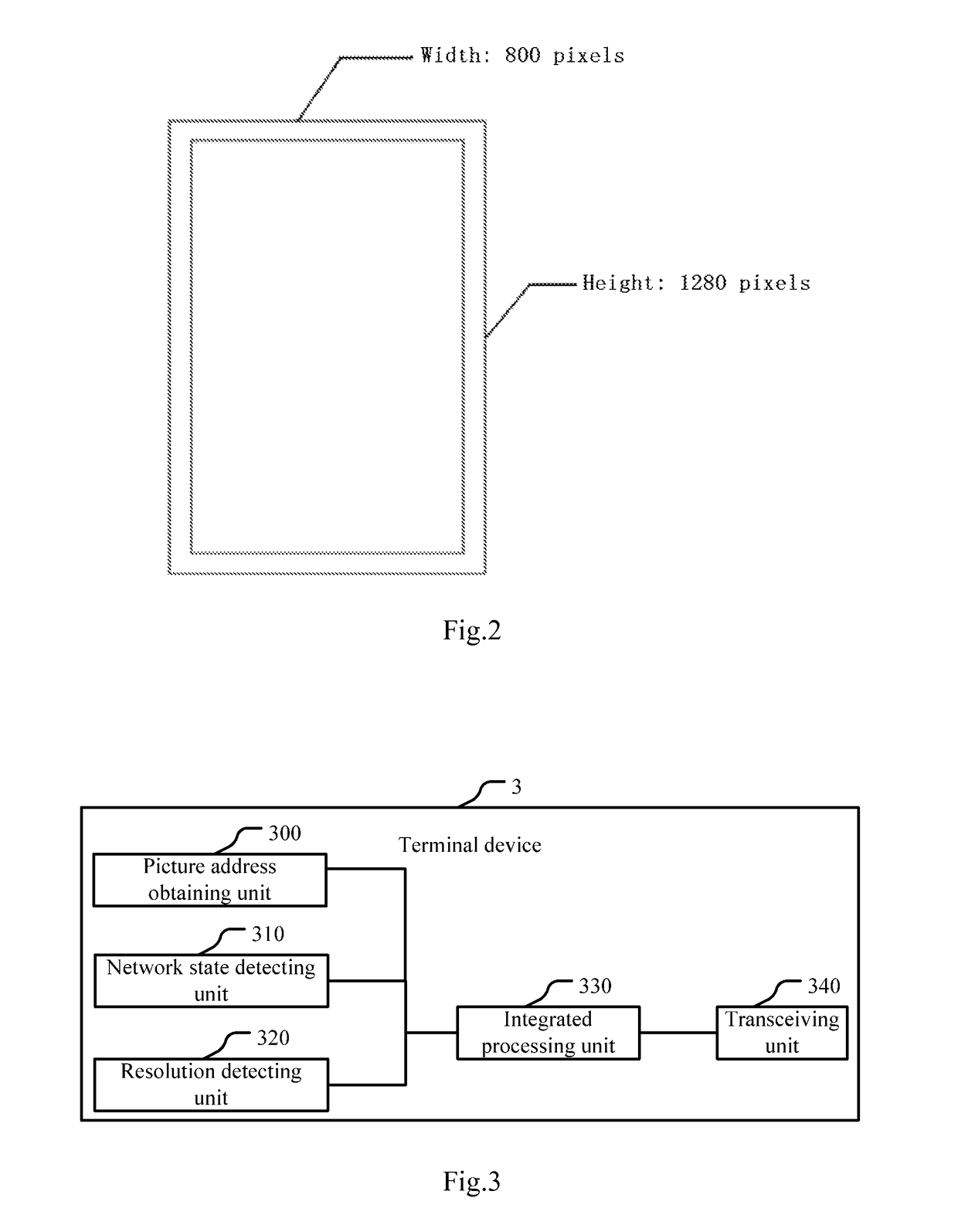 Terminal device, system for providing picture and method for transmitting picture