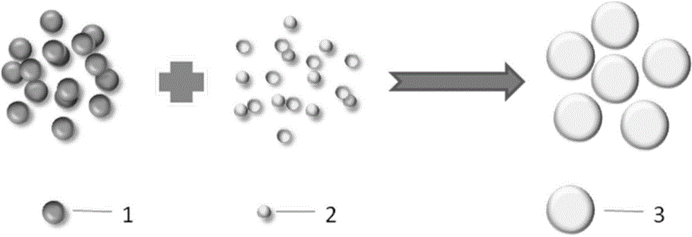 Polypeptide-calcitonin supramolecular aggregate with slow-release performance and preparation method thereof