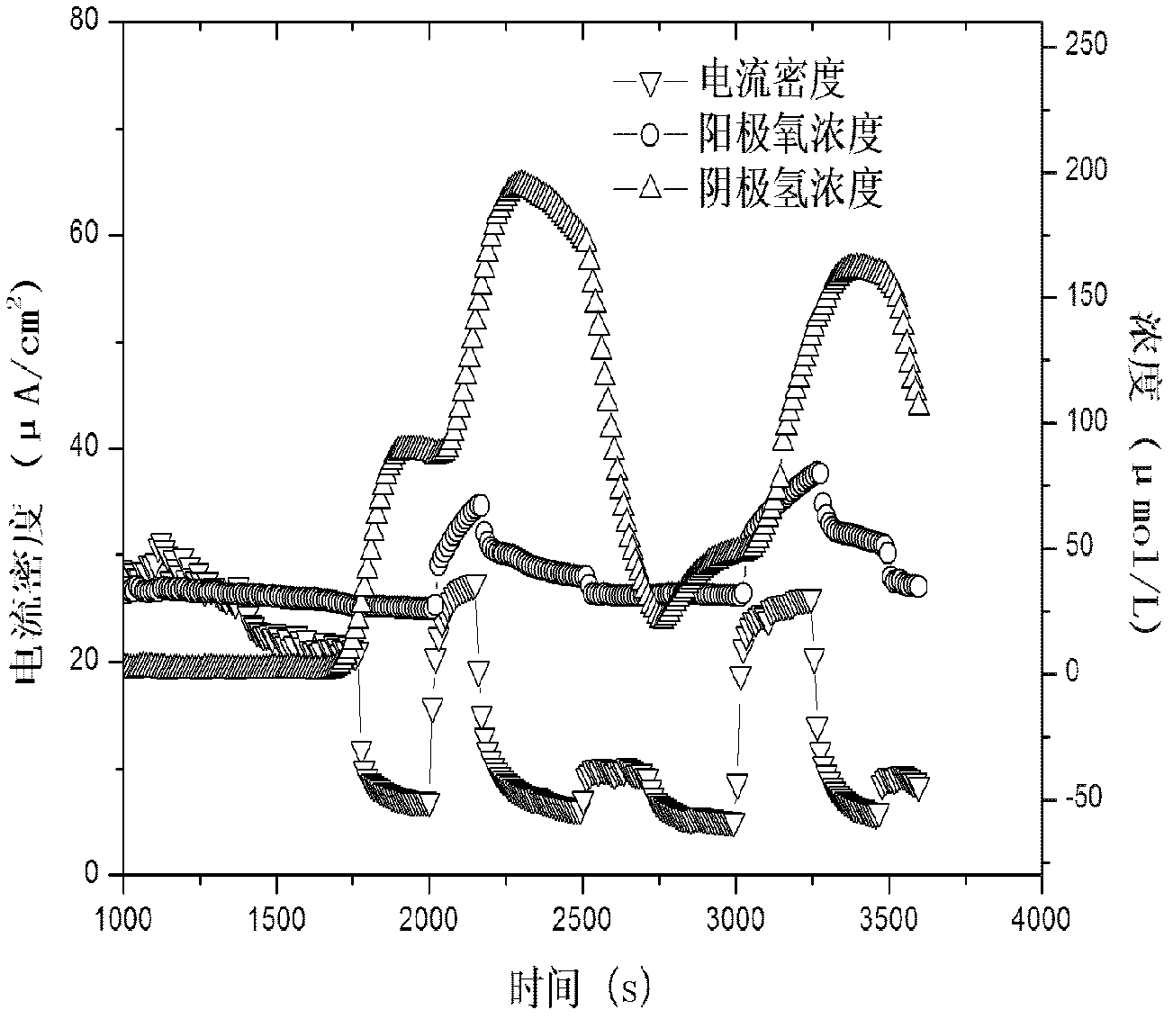 Method for producing hydrogen by visible light-driven microalgae electrolytic cell-based decomposition of water