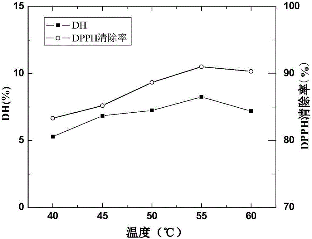 Sheep placenta antioxidant polypeptide as well as enzymatic hydrolysis preparation method and application thereof