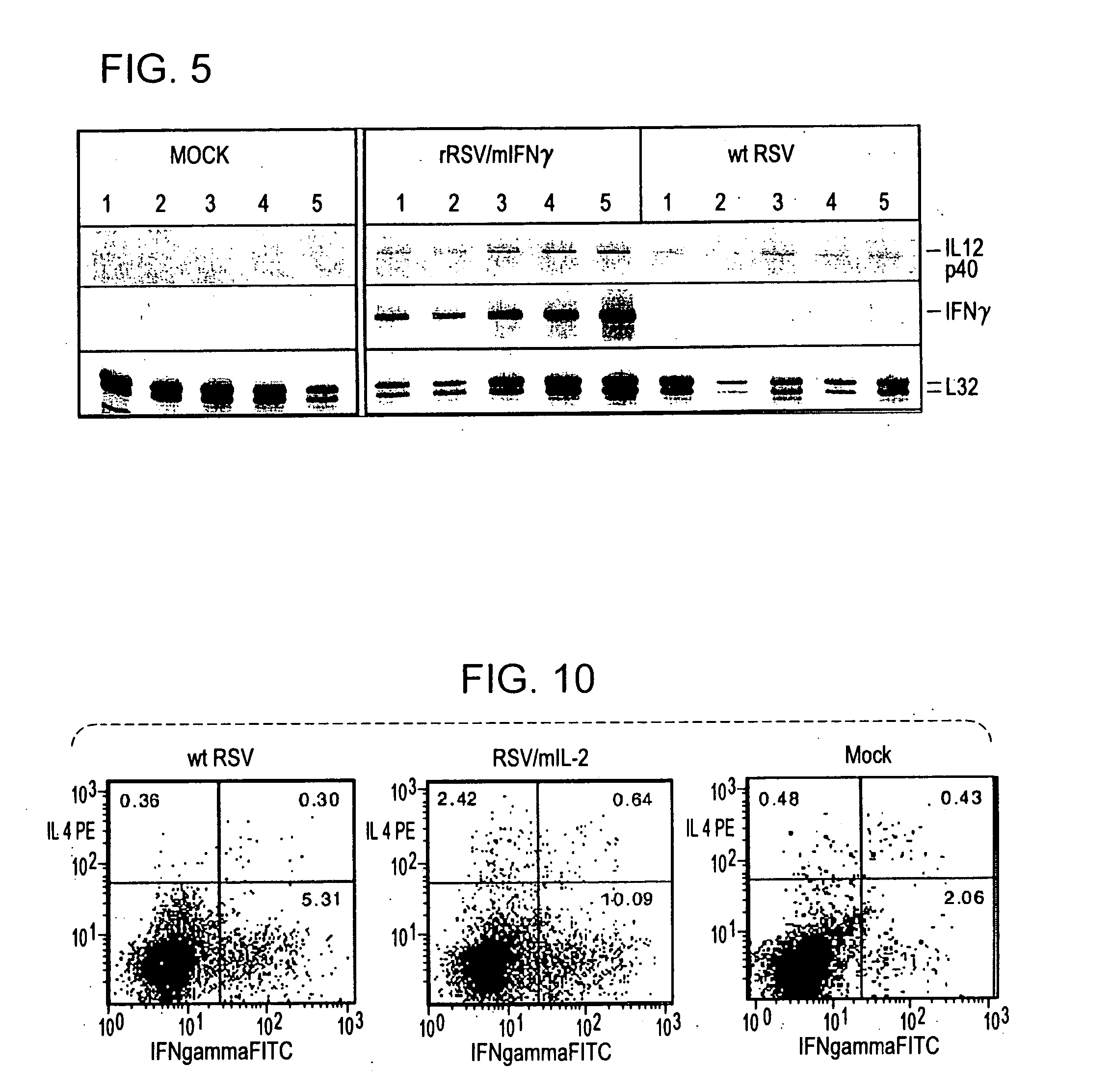 Production of recombinant respiratory syncytial viruses expressing immune modulatory molecules