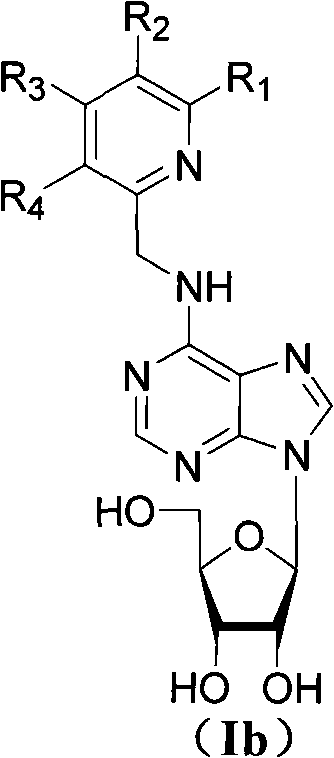 N*-substituted adenosine derivative, preparation method thereof, drug composition and application