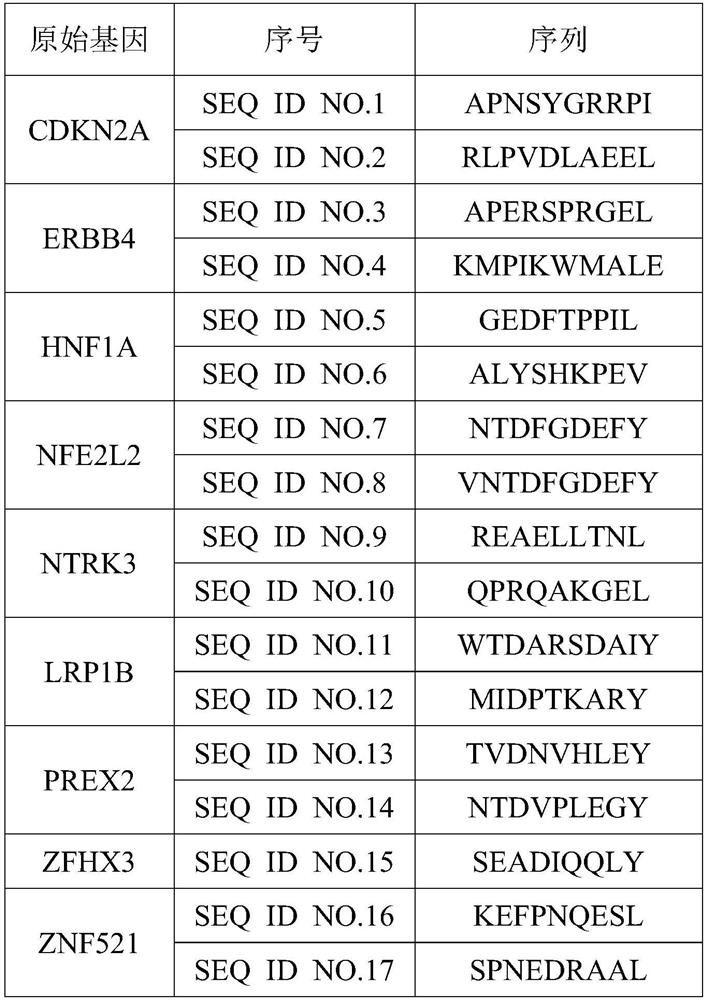 Antigen peptide combination related to liver cancer driver gene mutation and application thereof