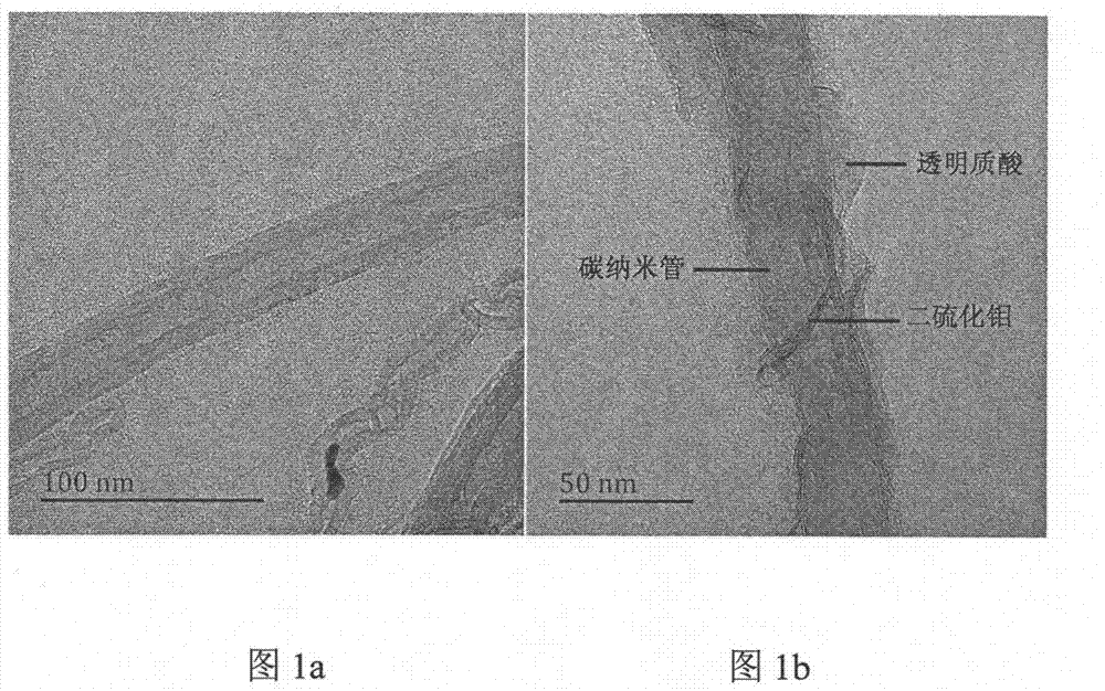 Preparation of hyaluronic acid coupling molybdenum disulfide/carbon nano tube composite medicine-carrying optothermal agent