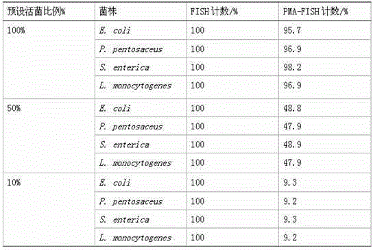 Quantitative detection method of live bacteria based on FISH technique