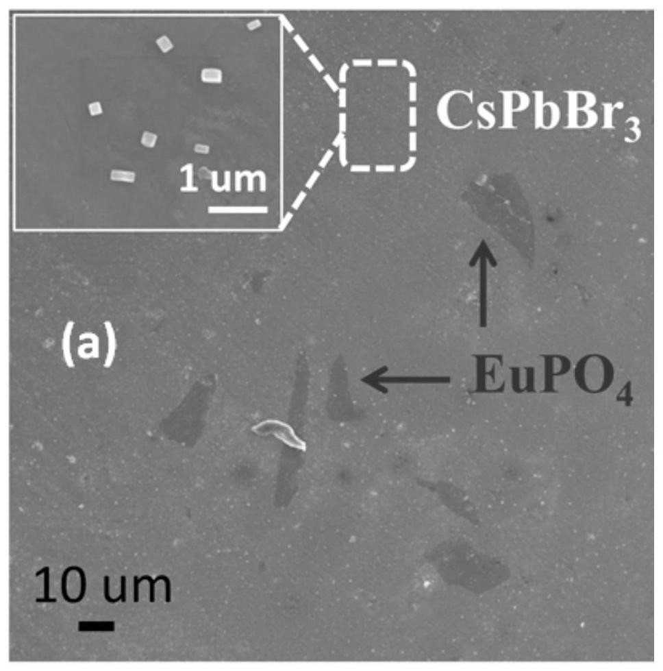 A dual-phase glass-ceramic for fluorescent temperature probes and its preparation method