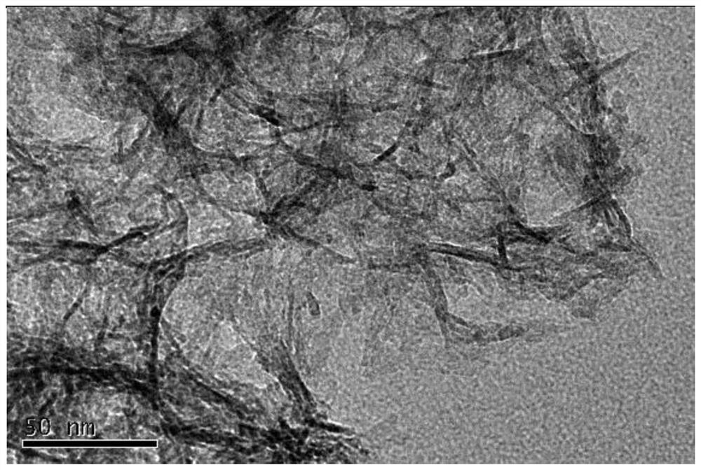 Gamma-alumina nanofiber and preparation method thereof