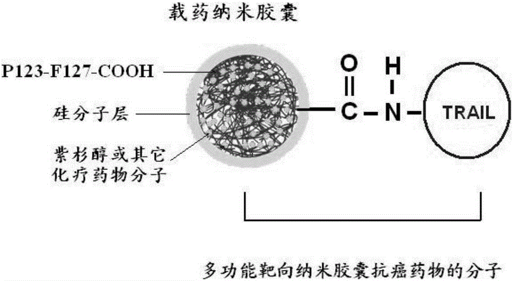 Molecular design and preparation technique of novel multifunctional targeted nanocapsule anticancer drug