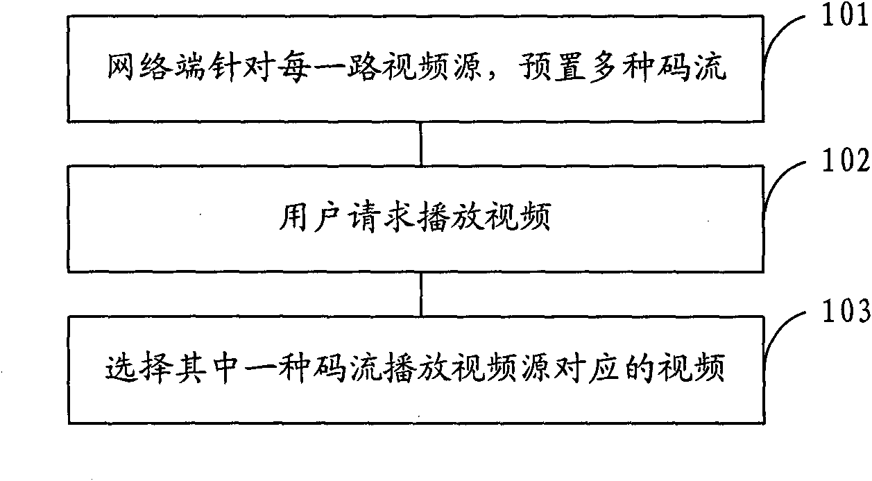 Method for playing network video and system for playing network video