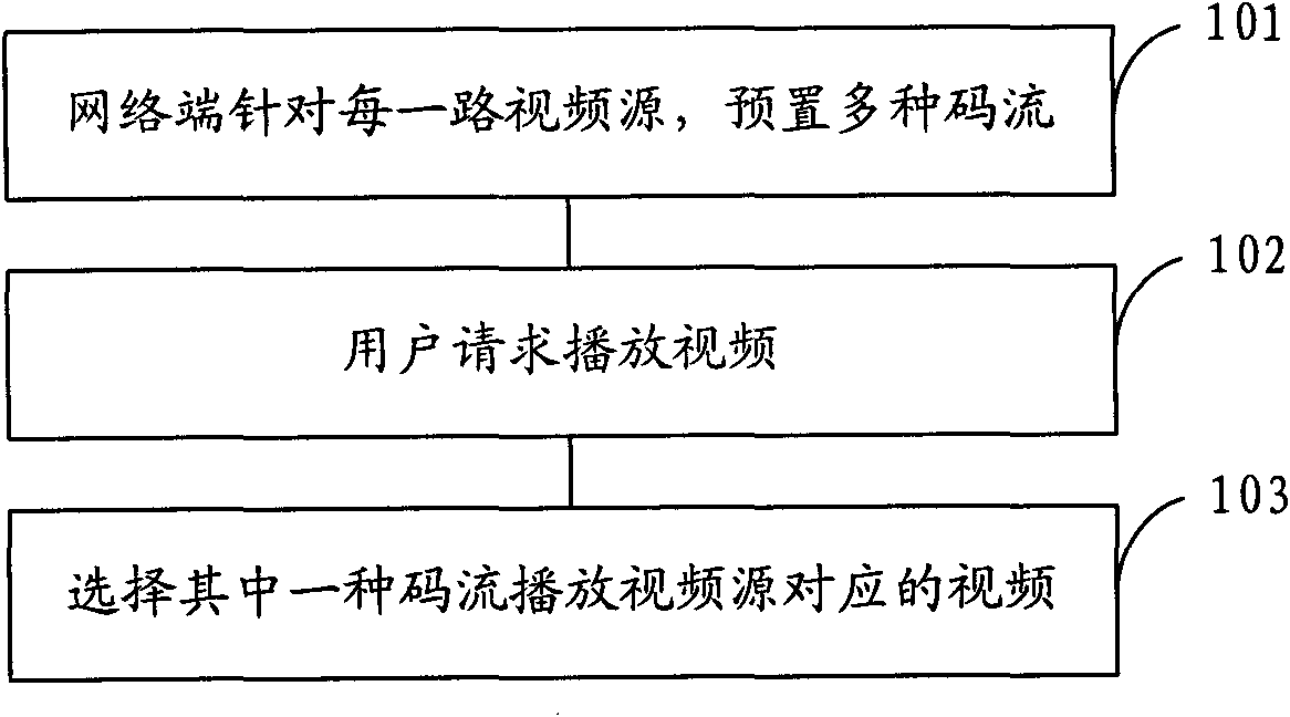 Method for playing network video and system for playing network video