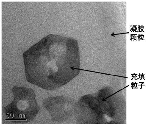 Gel particle plugging agent and preparation method and application thereof