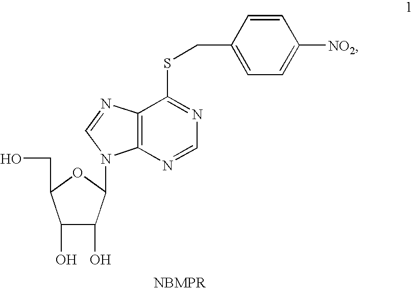 Novel Nucleoside Transport Inhibitors