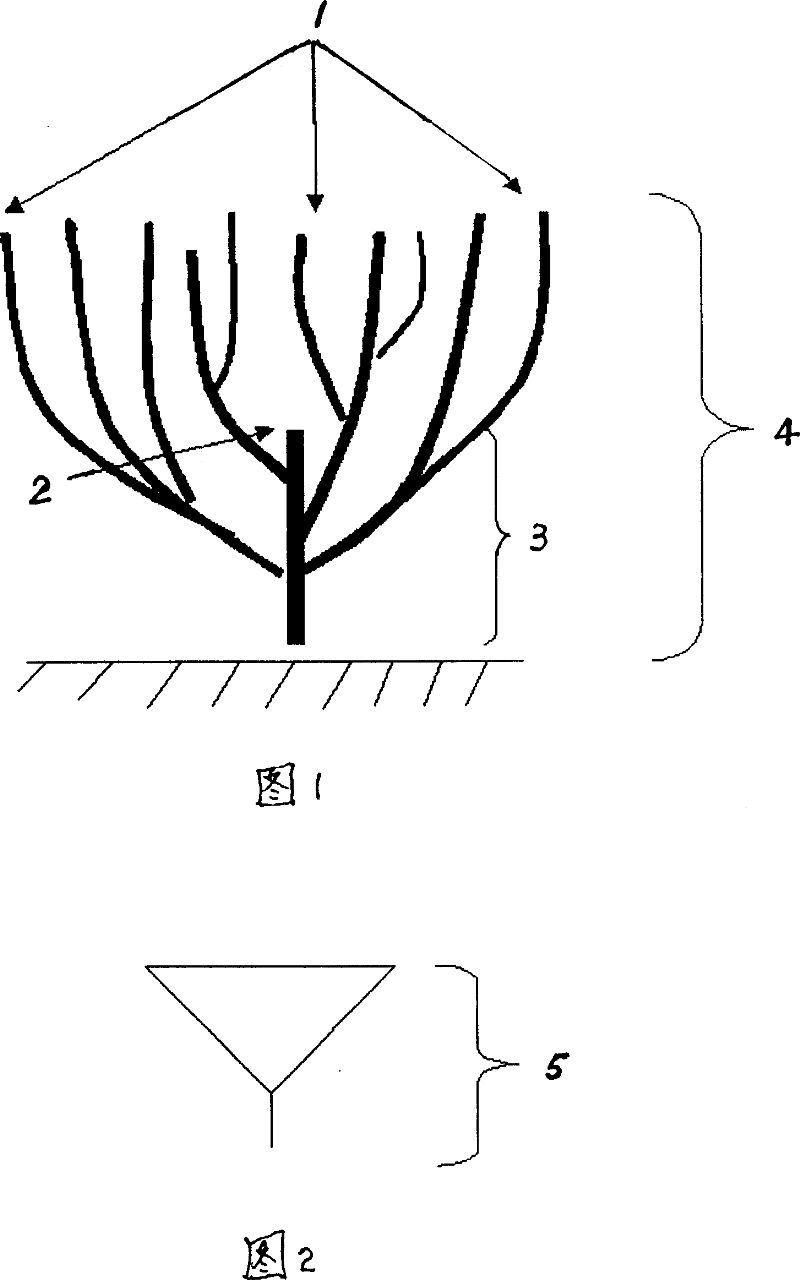 Artificial dwarfing and yield increasing jatropha cultivating process