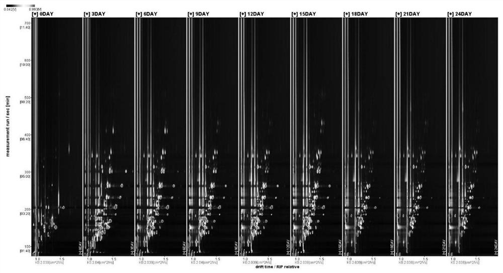 Meixiang fish fermentation degree multi-dimensional fusion identification method based on smell visualization