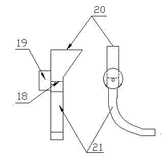 Large-seed directional seeding device