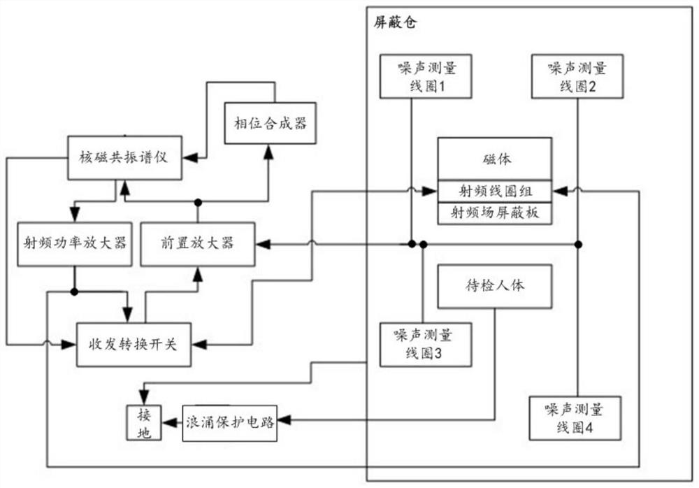 Nuclear magnetic resonance measurement system suitable for noninvasive quantitative detection of organs