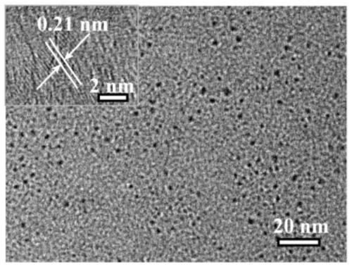 Coating having both luminous and fluorescent properties, and preparation method thereof