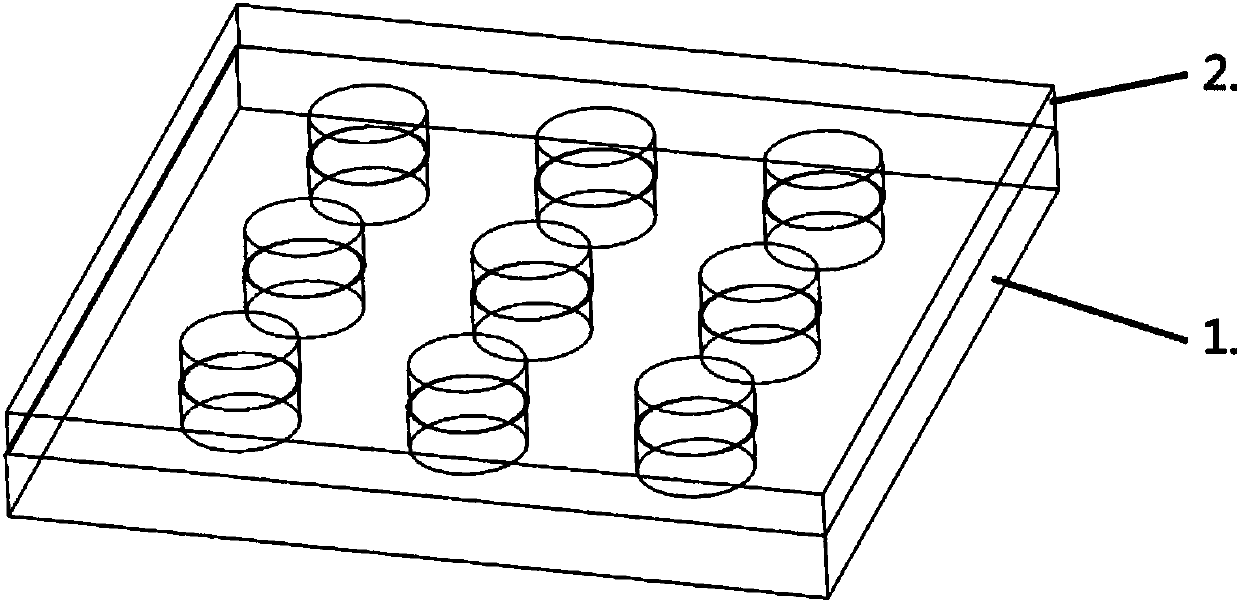 A superhydrophobic micropit array chip and its preparation method and application