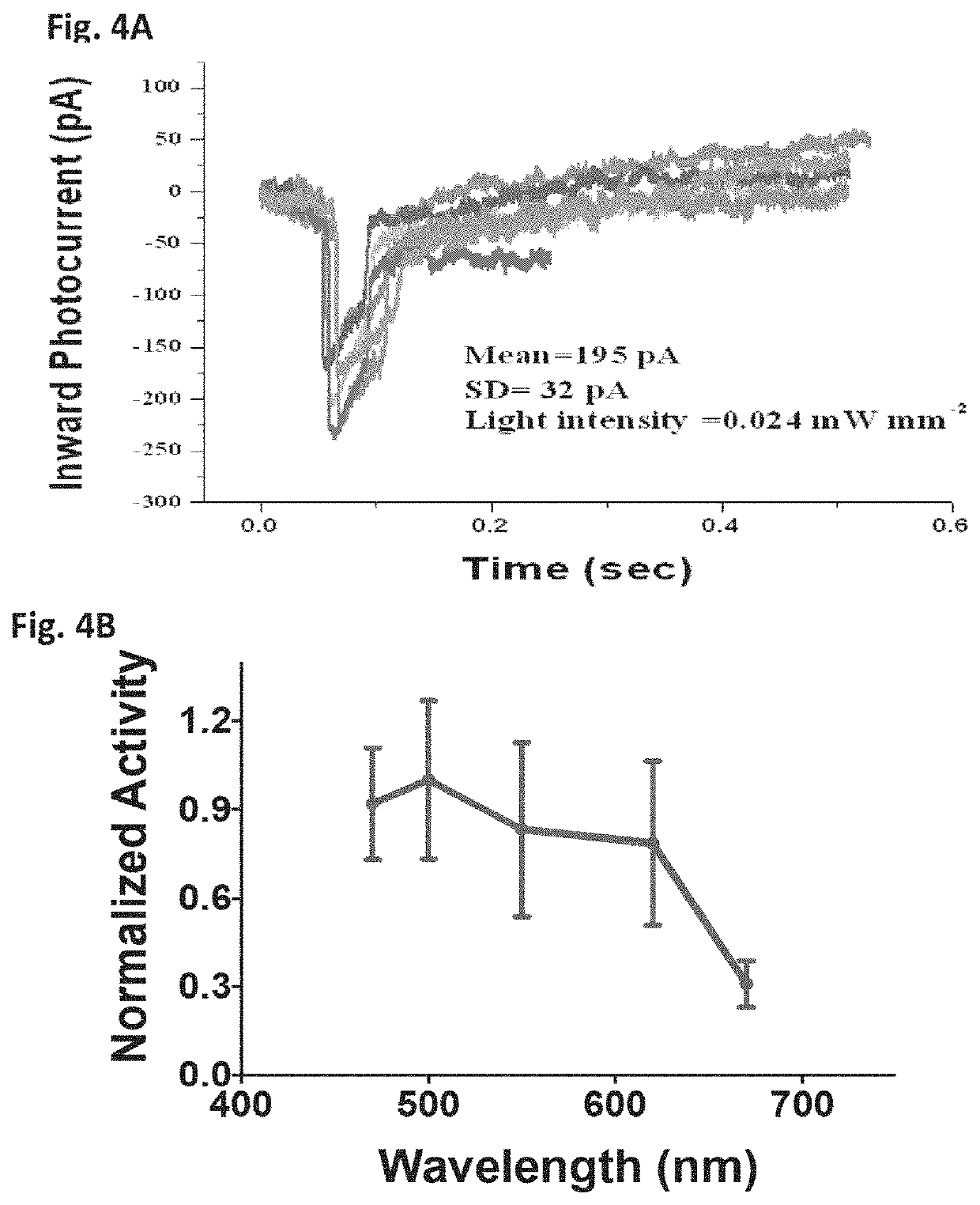 Optogenetic modulation by multi-characteristic opsins for vision restoration and other applications thereof