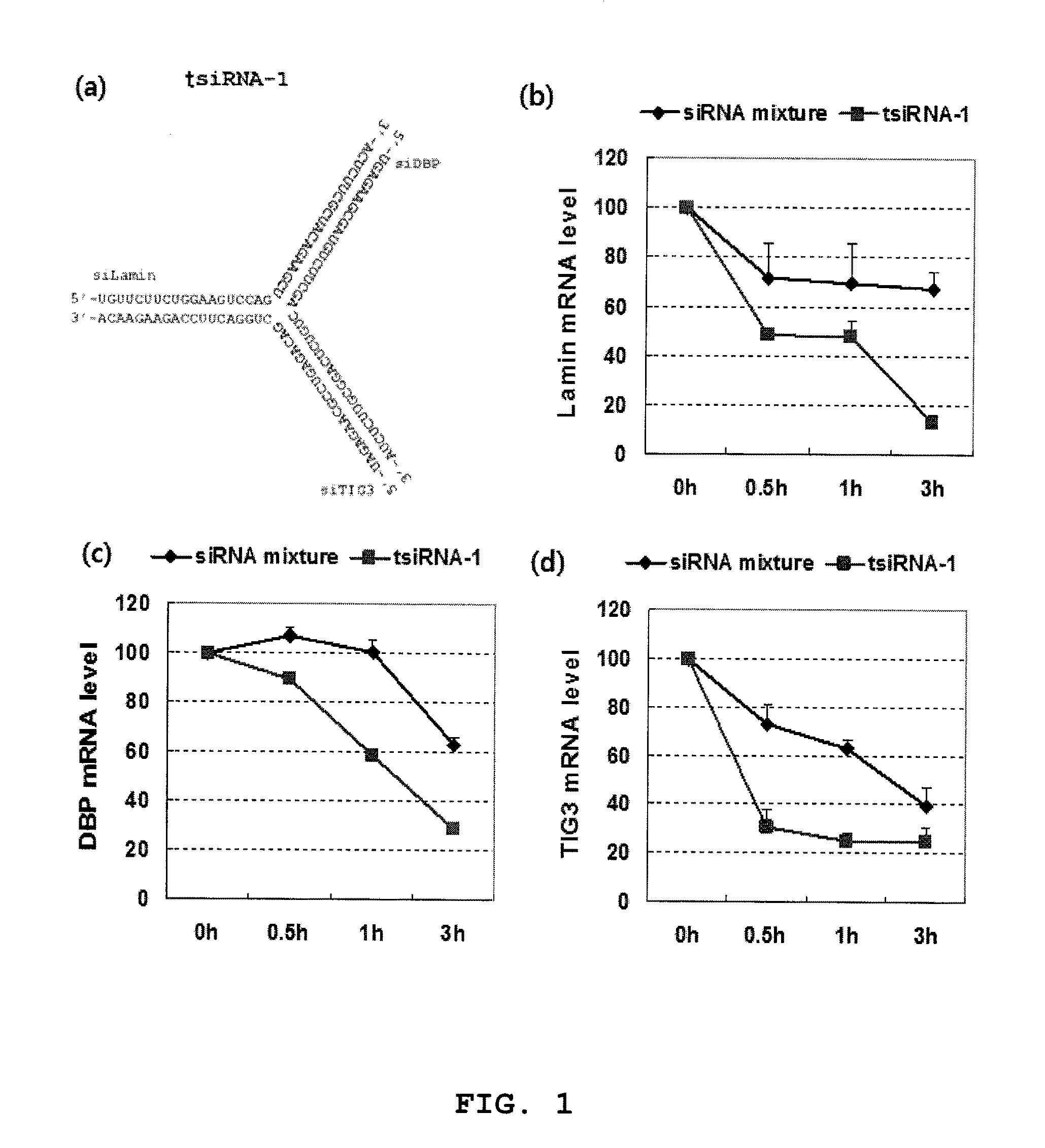 Small interference RNA complex with increased intracellular transmission capacity