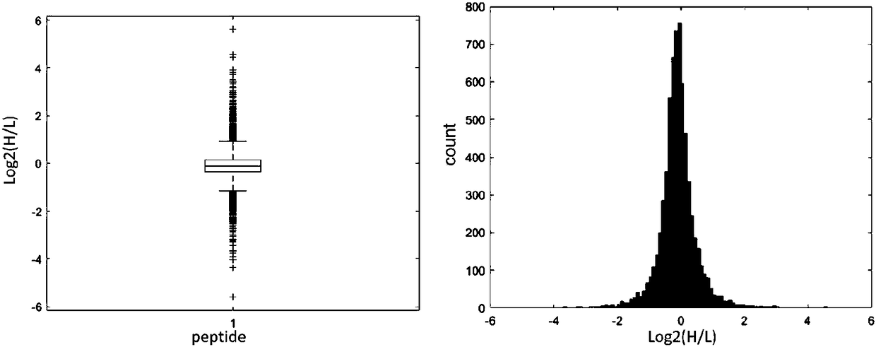 Protein quantification method based on dimethyl labeling DIA strategy