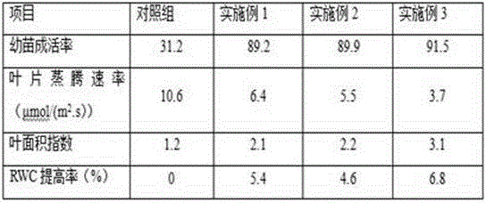 Method of performing original soil greening on sulfate-containing sandy soil by using vermiculite-containing nutrient soil