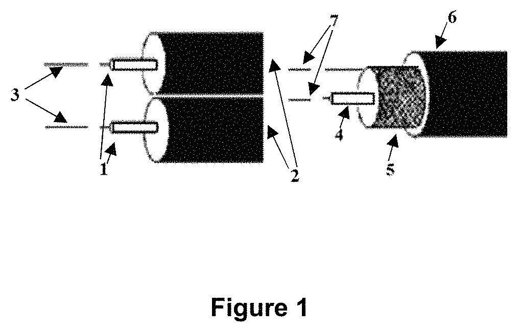 Hydrocarbon salinity measurement system at bottom of well at extreme conditions of pressure and temperature by means of time domain reflectometry