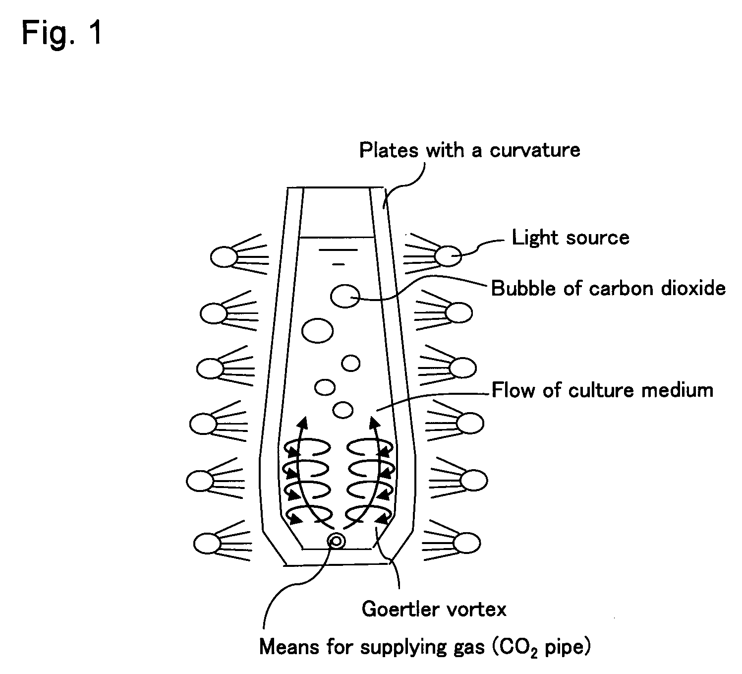 Green Alga Extract with High Astaxanthin Content and Method of Producing the Same