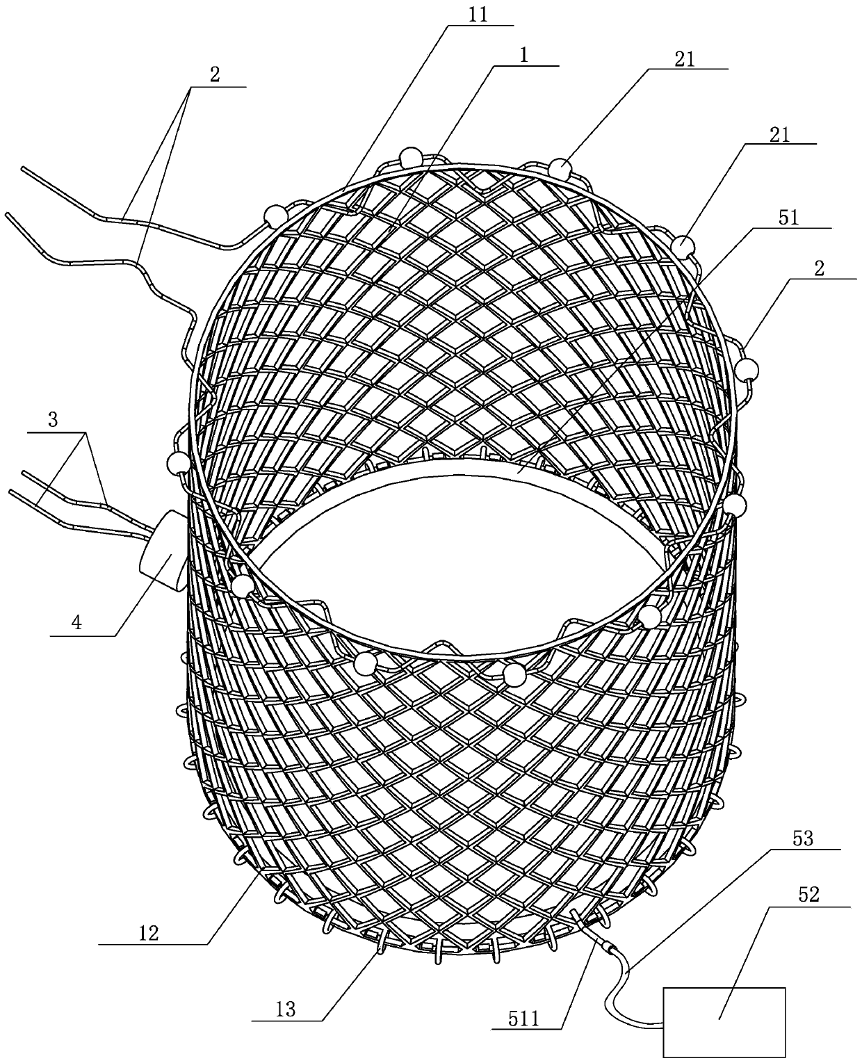 Auxiliary fish taking device for fish breeding stable breeding bucket and application method of auxiliary fish taking device