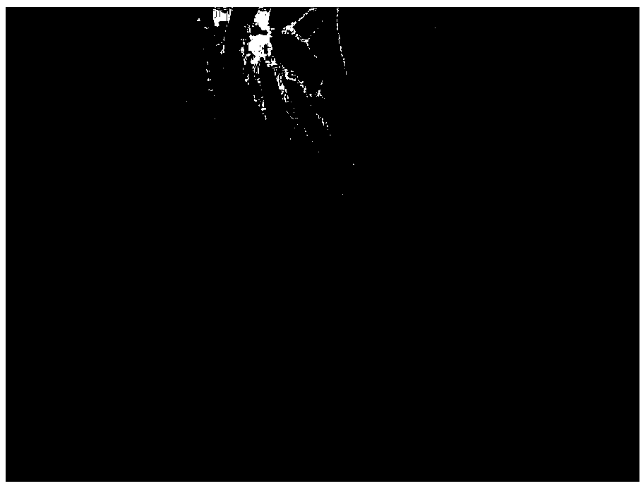 Urine protein marker of ovarian cancer and diagnosis application thereof