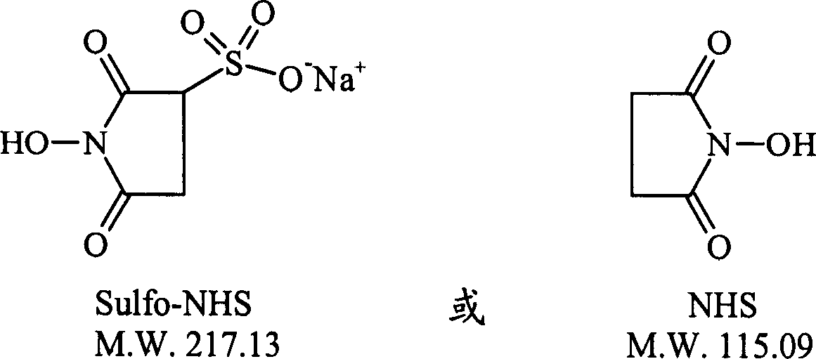 Biological coupling material and its preparing method