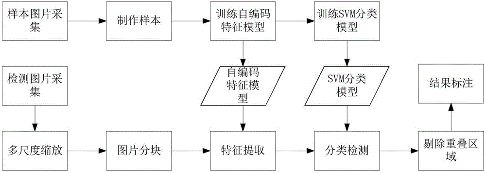 Cordyceps sinensis detection method based on self-encoding feature learning