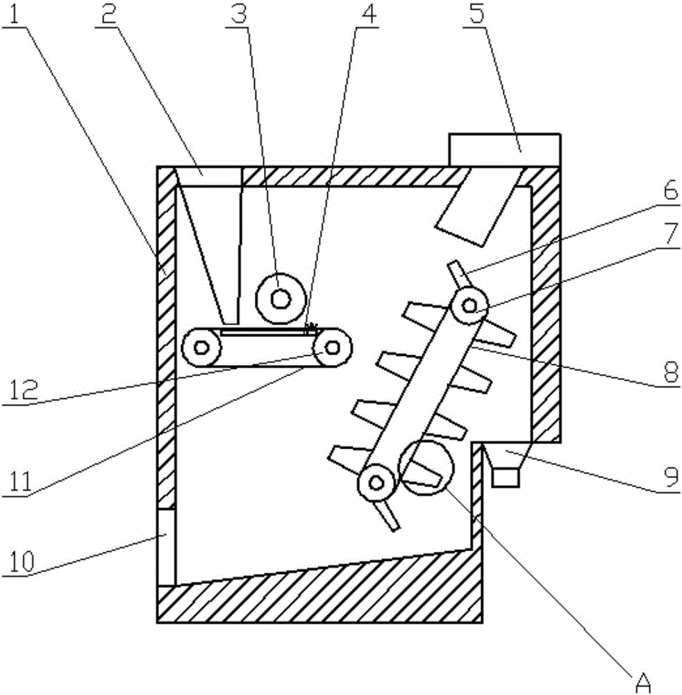 Peanut shelling and sorting machine