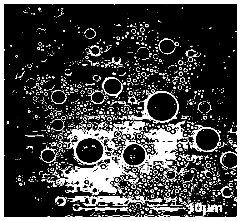 TPP mitochondria target astaxanthin emulsion and preparation method thereof