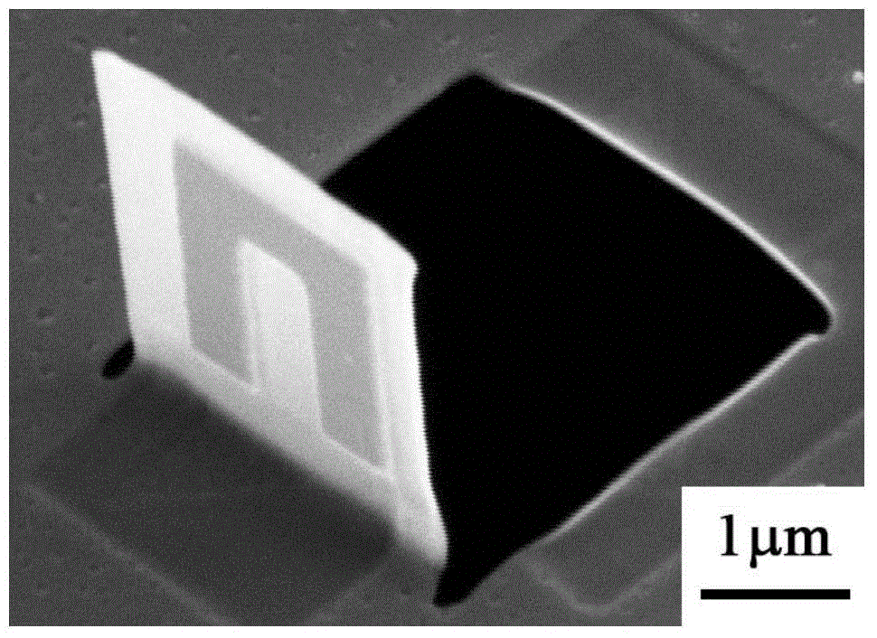 Self supporting three dimension device and preparation method thereof