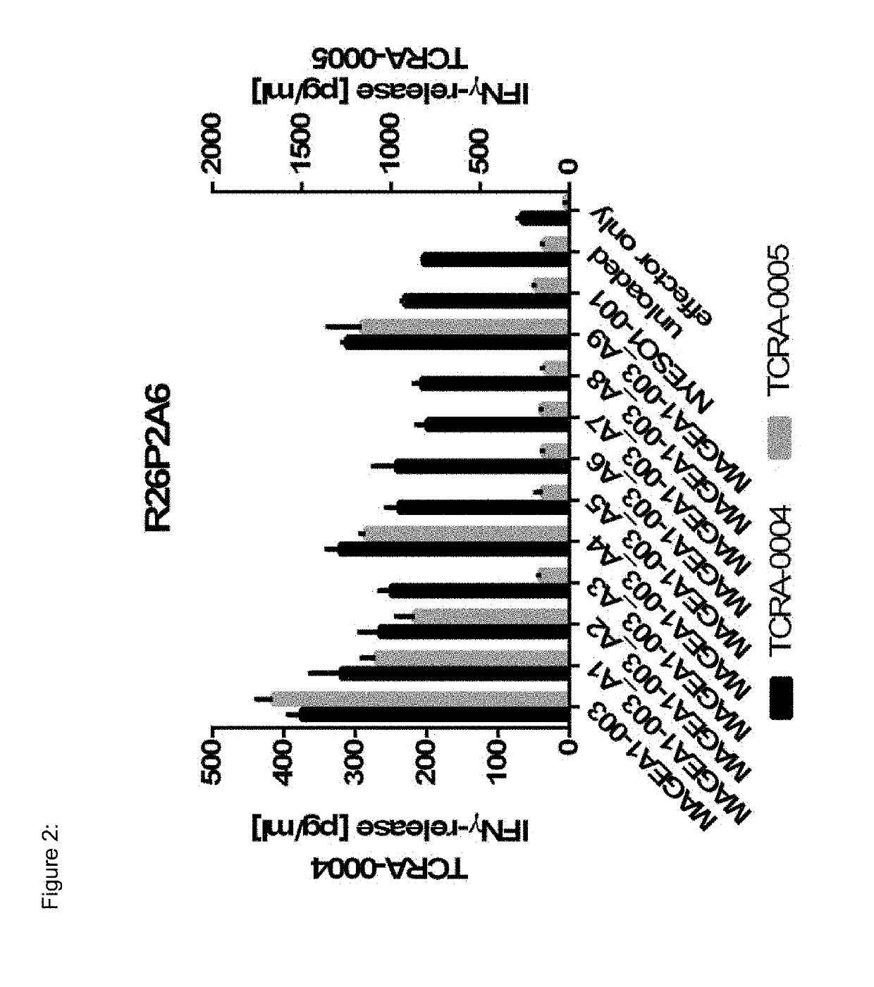 Novel t cell receptors and immune therapy using the same