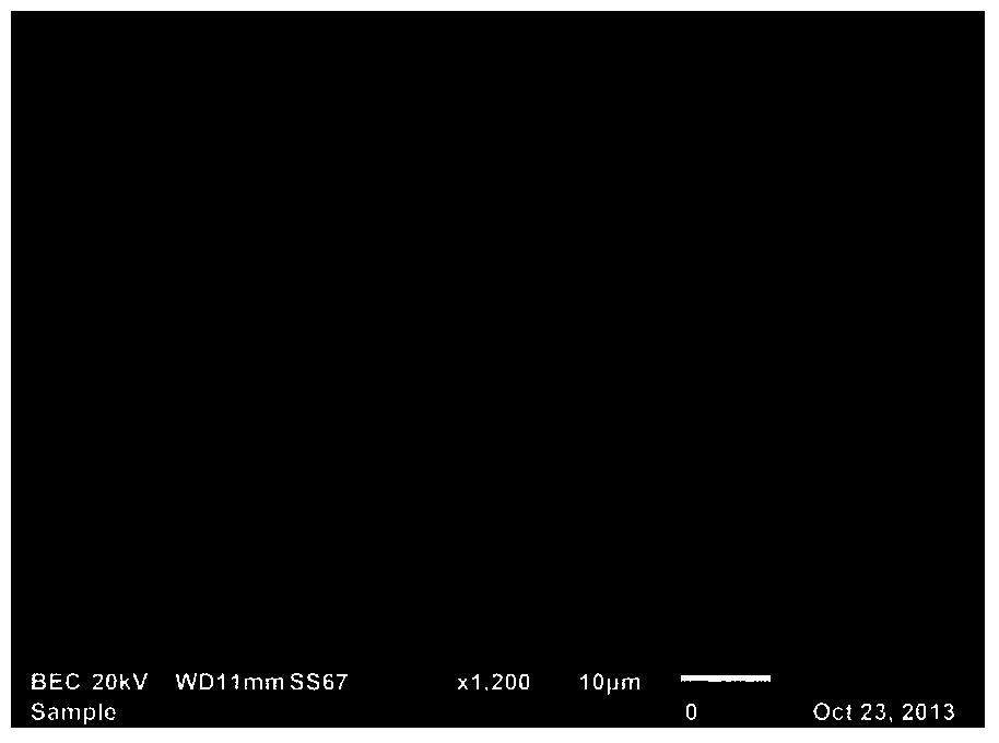 Pt Ni Al bonding layer doped with binary trace active elements and capable of being completely oxidation resisting at 1200 DEG C and preparation method thereof