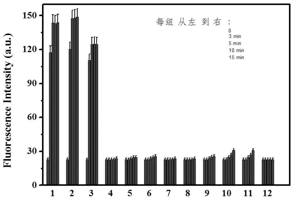 Fluorophore Derivatives Used for Determination of Polysulfurized Cysteine ​​Fluoropyrrole Fluorophore and Its Application