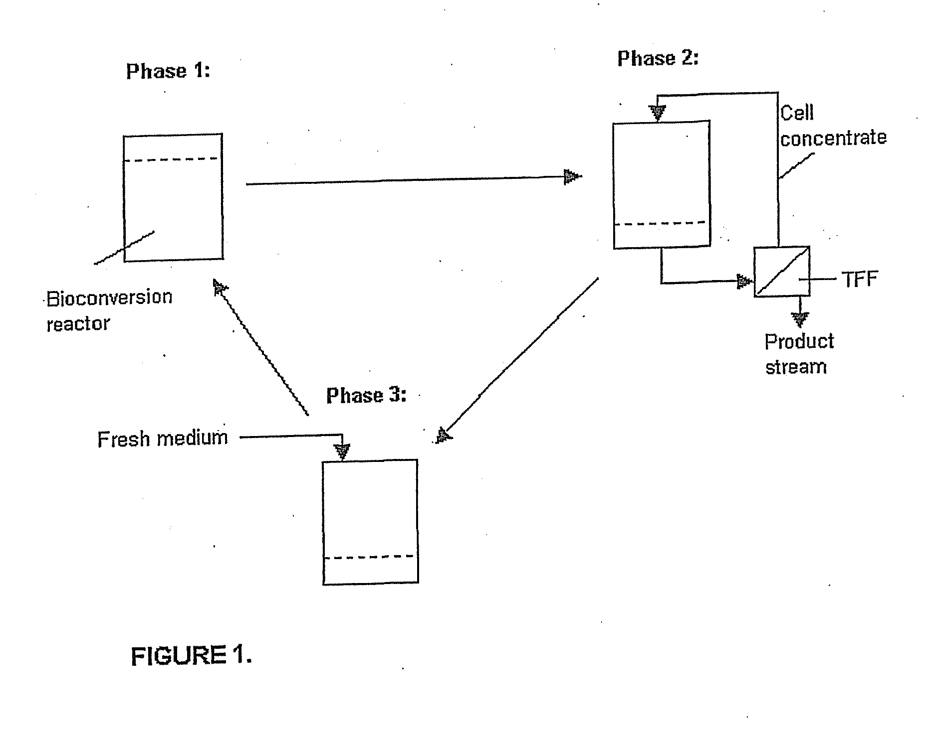 Process for Producing D-Mannitol