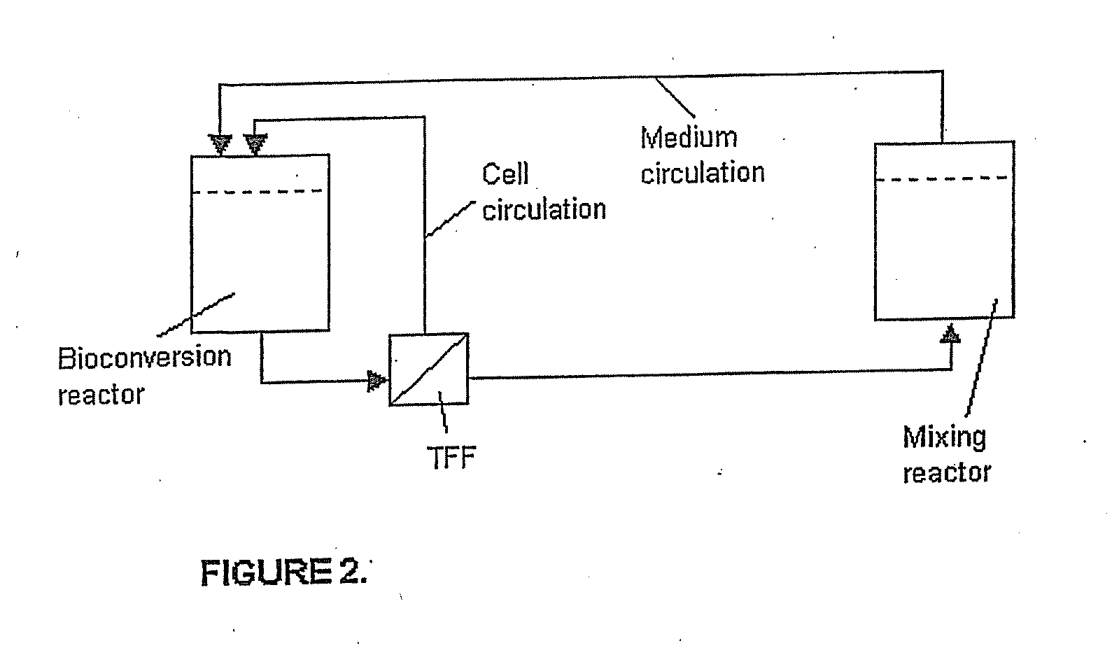 Process for Producing D-Mannitol