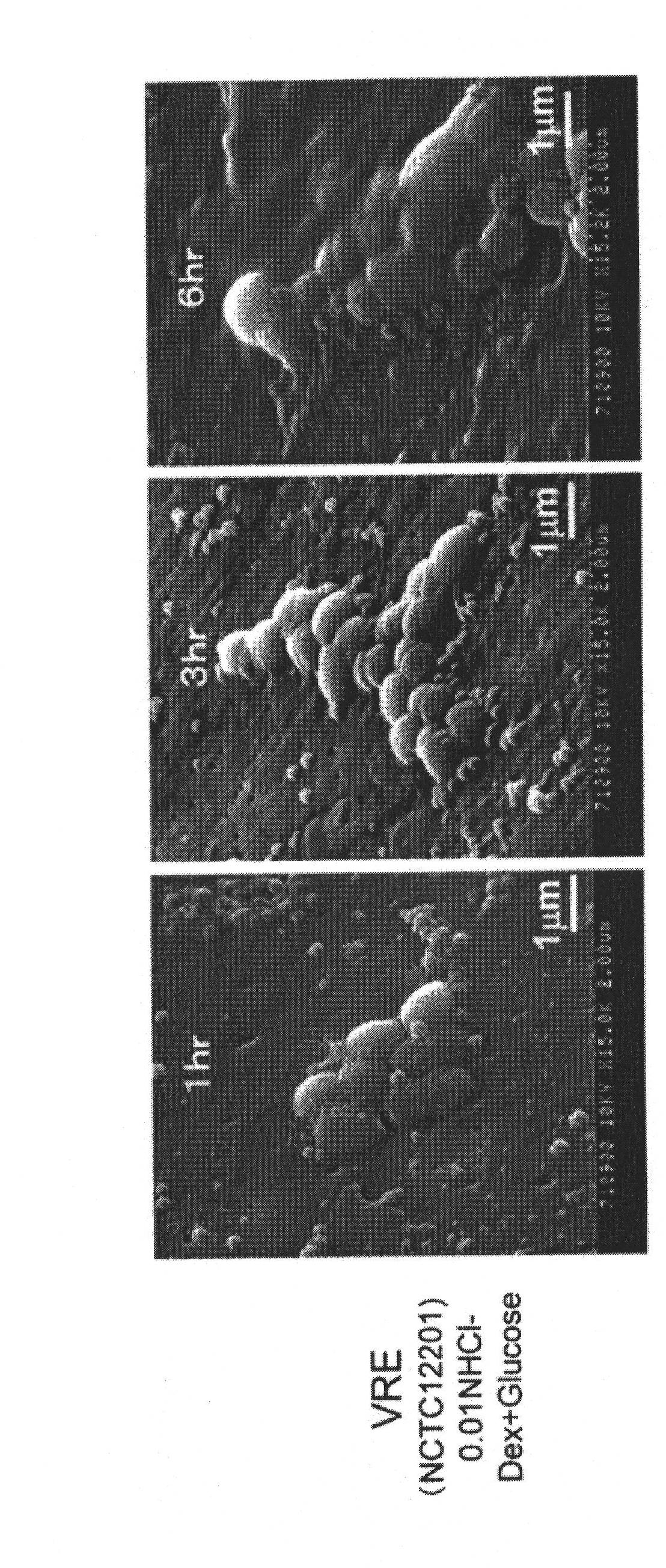 Antimicrobial agent for gram-positive bacteria