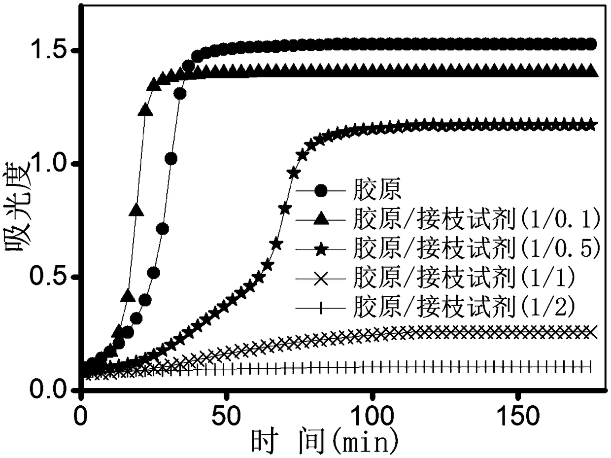 Acrylic acid grafting natural collagen with fibrillation performance and preparation method thereof