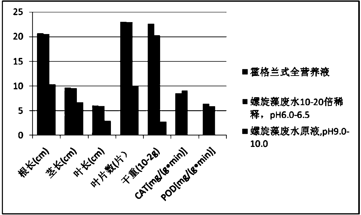 Method for cultivating vegetables in water mode through spiral seaweed cultivation waste water