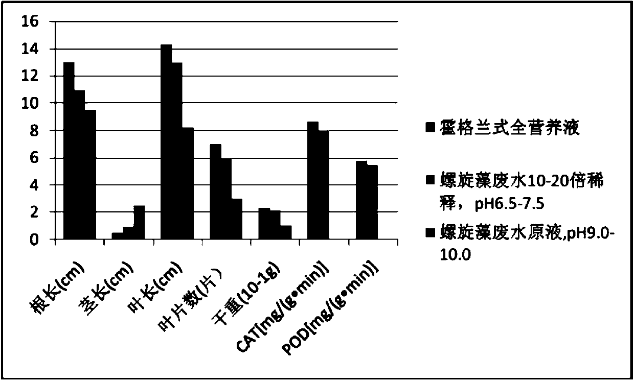 Method for cultivating vegetables in water mode through spiral seaweed cultivation waste water