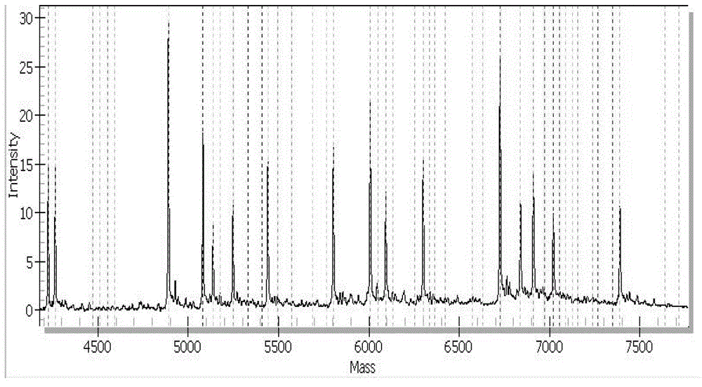 High-sensitivity method used for detecting and identifying human coronavirus